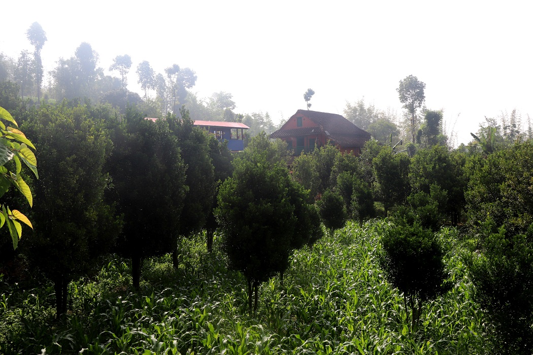 Image of https://mayorsap.com/storage/photos/10/Suntala Bhojpur.JPG
